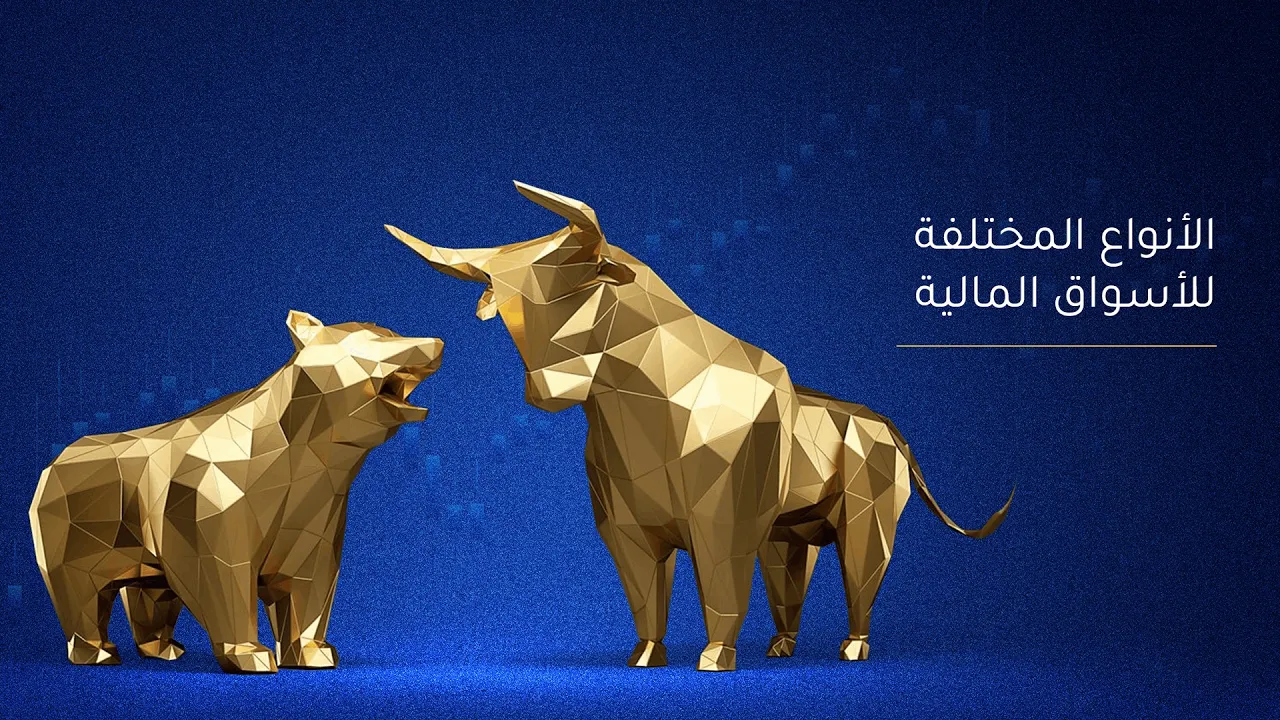 الأنواع المختلفة للأسواق المالية